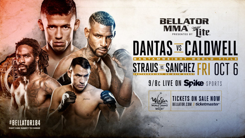 Bellator 184